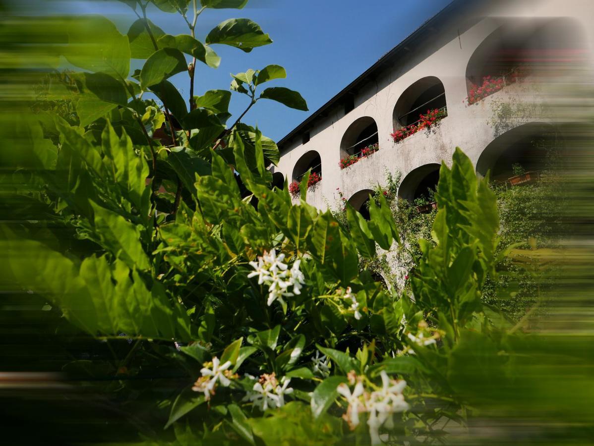 Affittacamere Casa Archi Losone Exterior foto